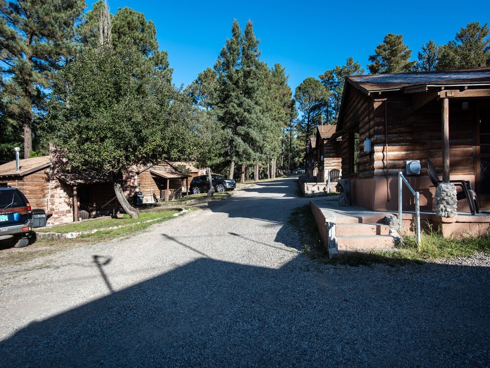 Photo 7