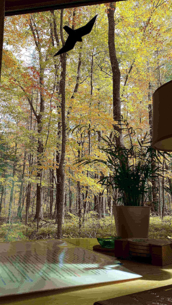 Shire In The Woods