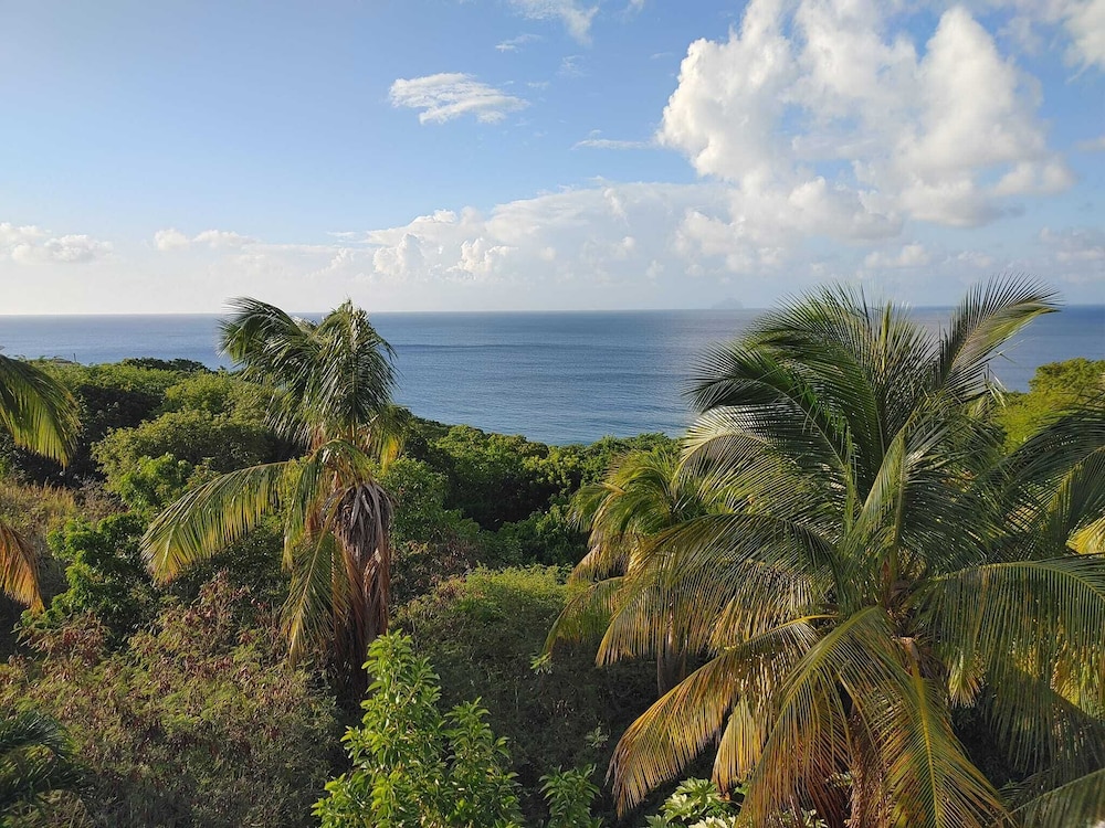 Chez Mango Villas - Photo 32