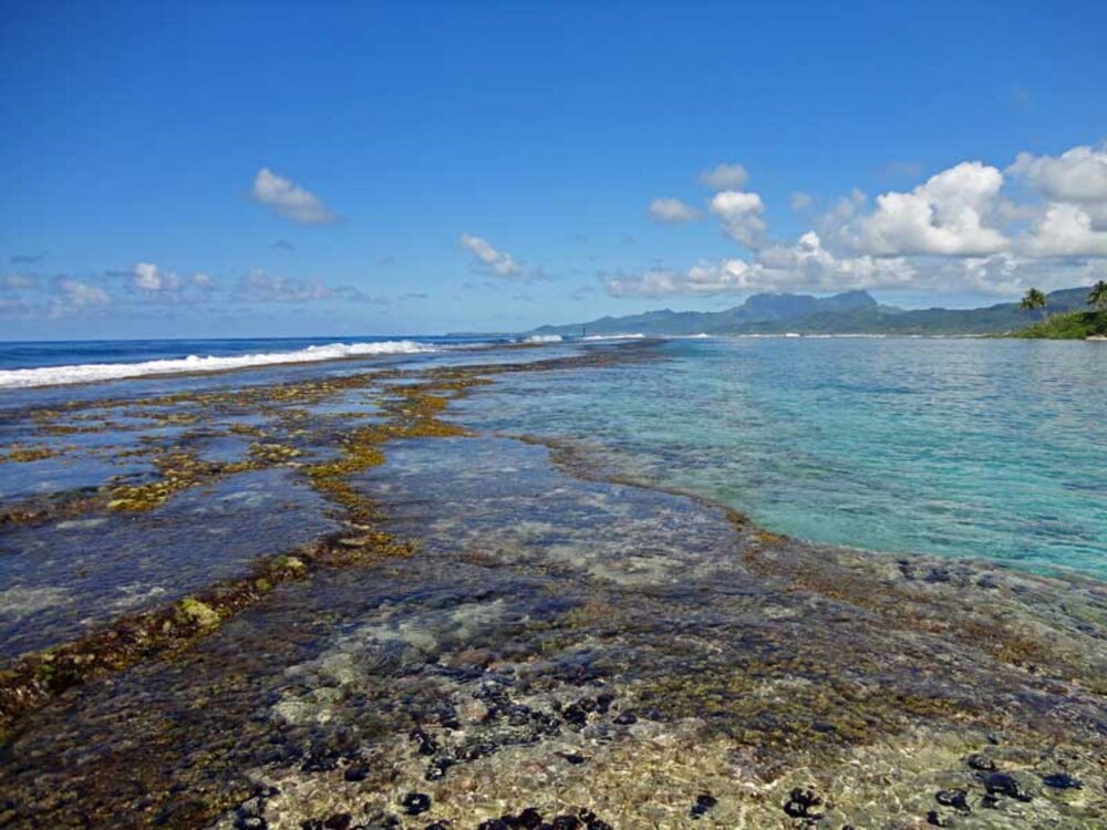 Te Ava Piti Lodge, photo 14
