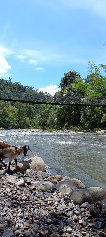 Skale peregrino ecolodge