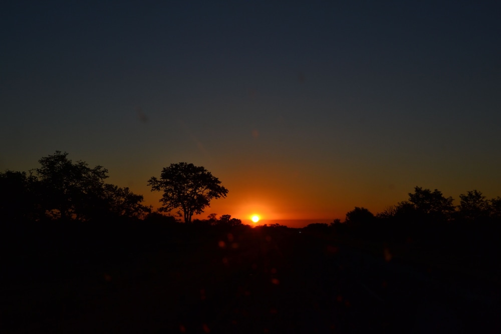 Chobe Sunset Chalets