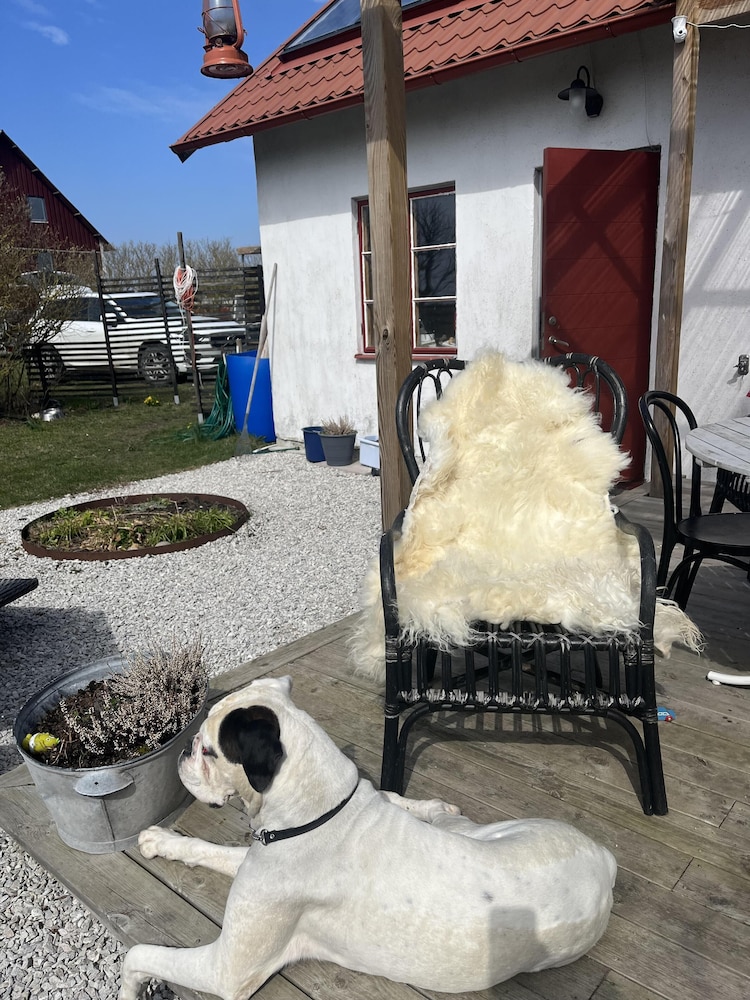 Cozy Coastal Haven in Havdhem