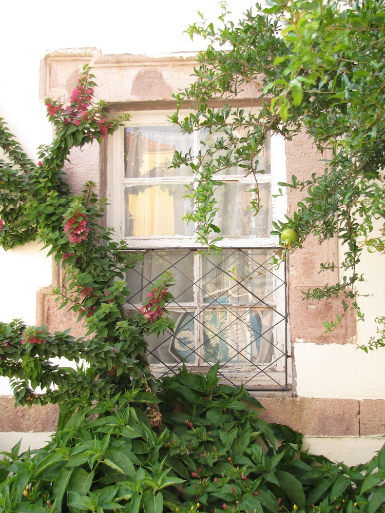 Eolos House Cunda