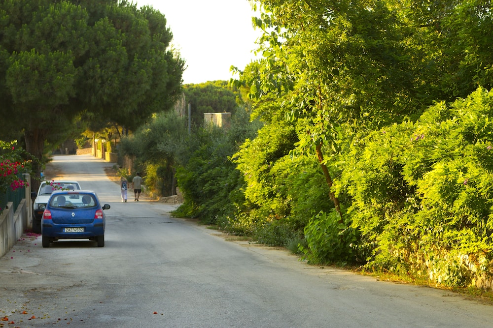 Photo 25
