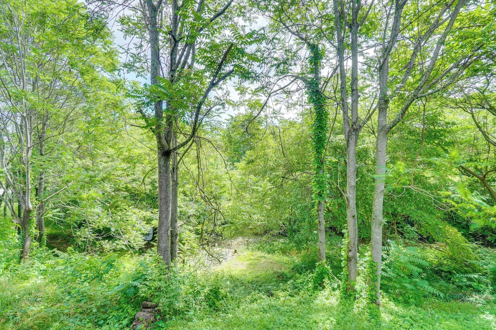 Walk to Historic Maryville: True Southern Getaway!