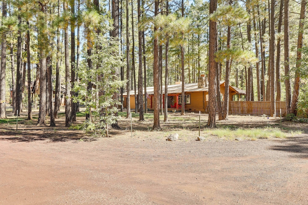 11 Mi to Rainbow Lake: Family Home w/ Large Yard view 5