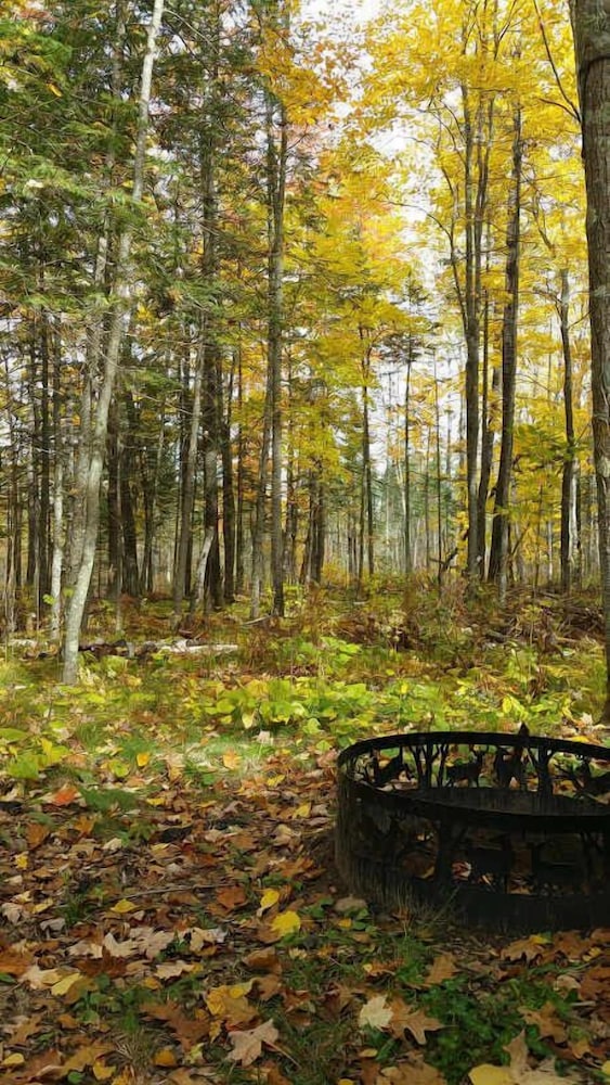 Shire In The Woods