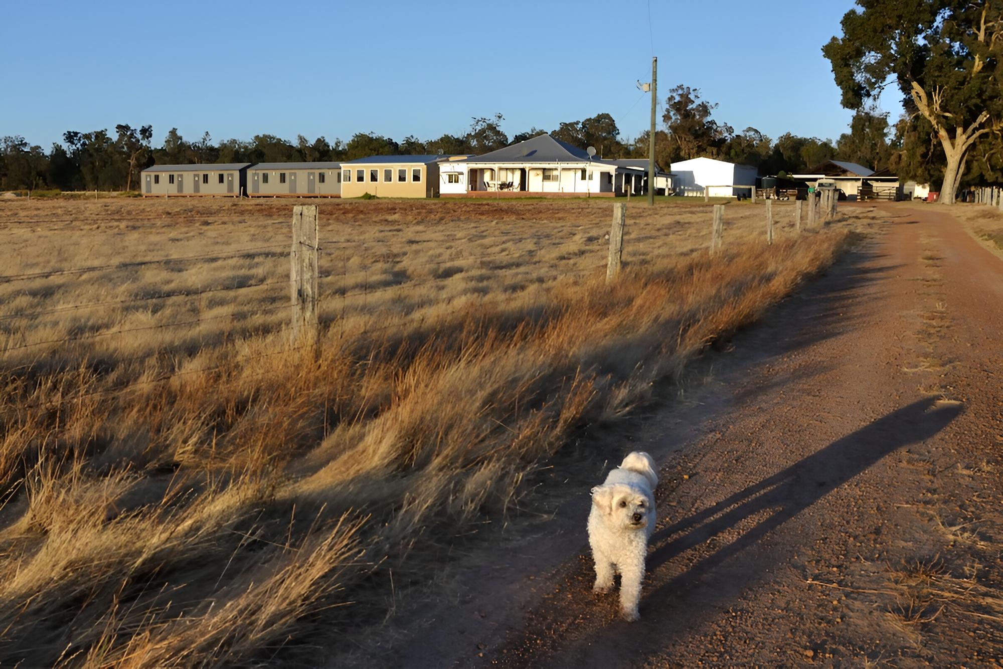 Wilga Farm Stay