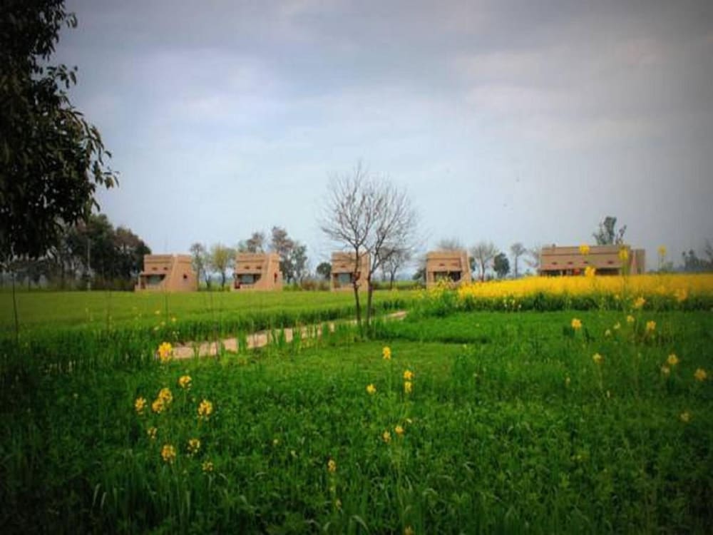 Punjabiyat near Amritsar