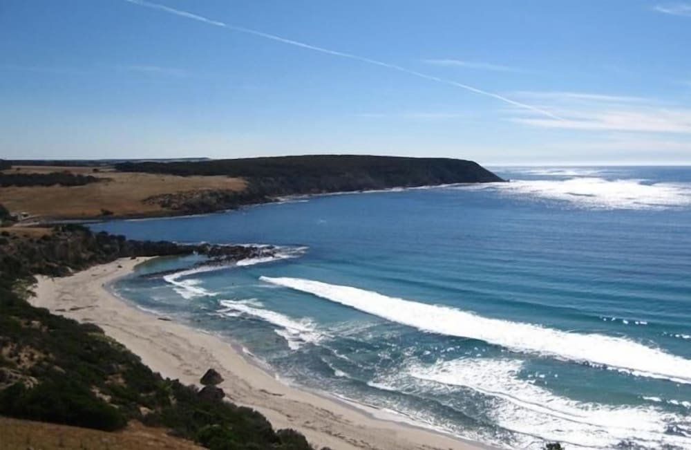 Waves and Wildlife