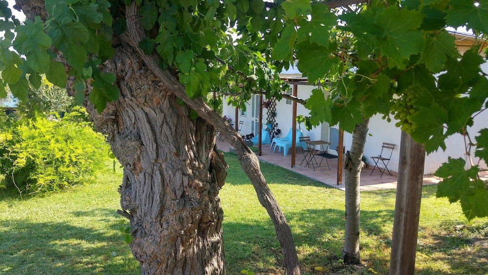 Photo 30