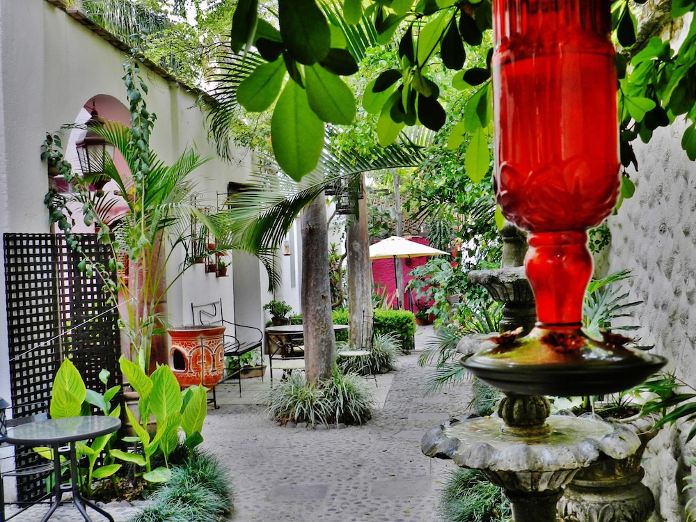 Hotel Rosa Morada