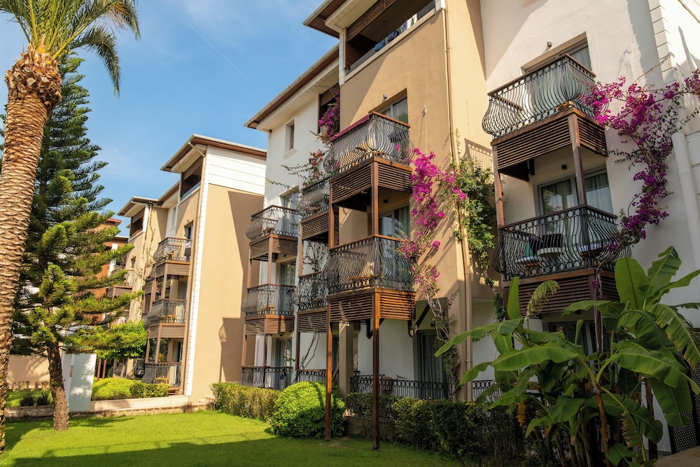 Photo 153