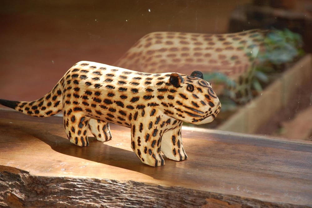 Tierra Guarani Lodge de Selva