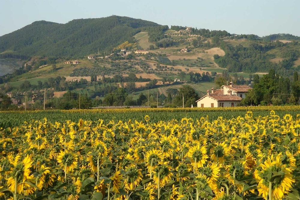 Fontecese Bed and Breakfast