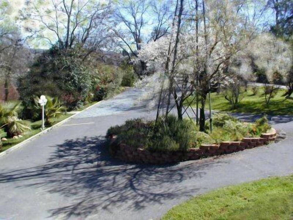 Robins Nest Bed & Breakfast