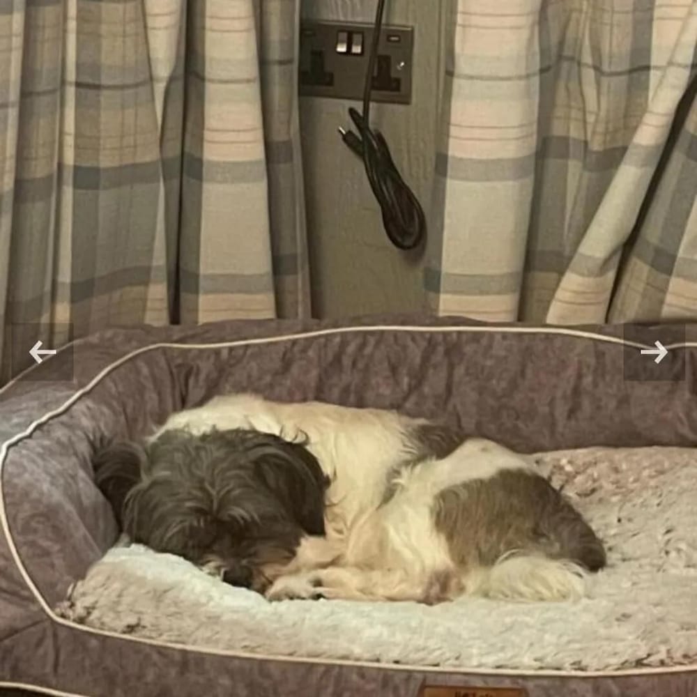 2 Bedroom Sleeps 4 Lodge-smart Tv-hot Tub-dogs Ok view 5