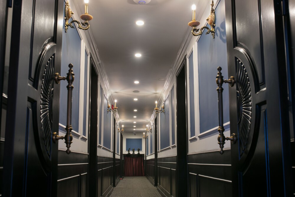 Le Theatre Cruise - Image 4