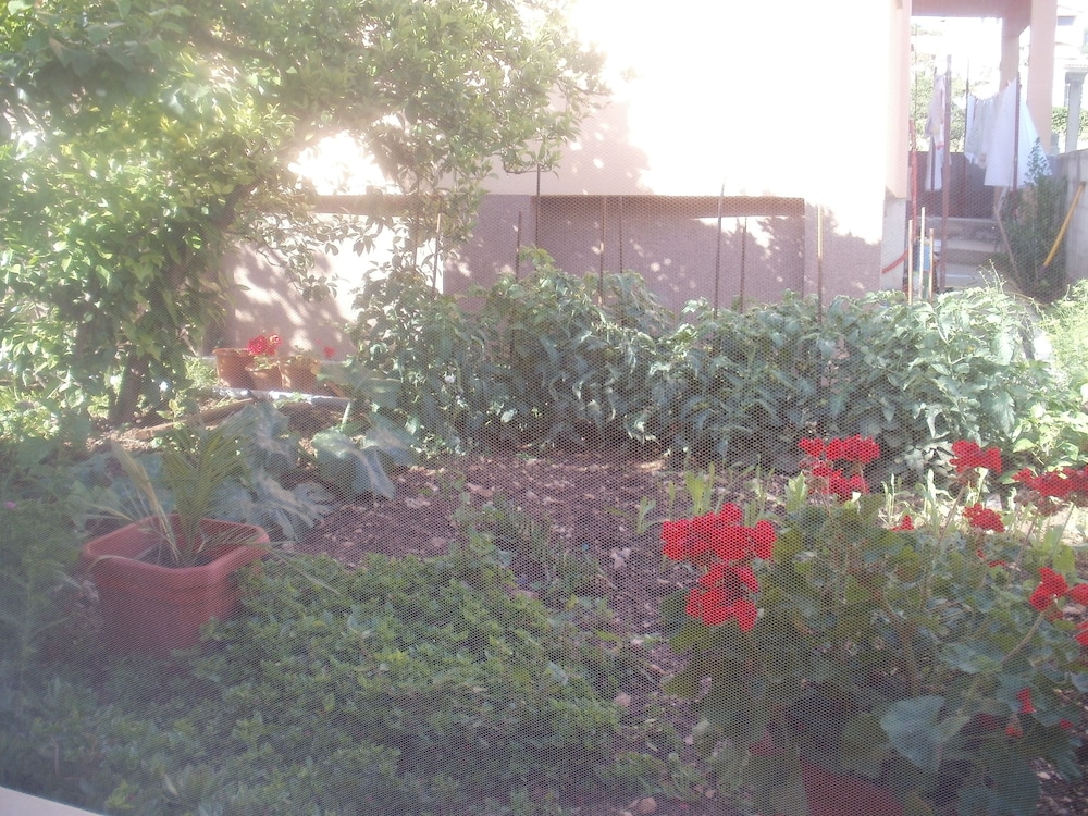 Photo 47