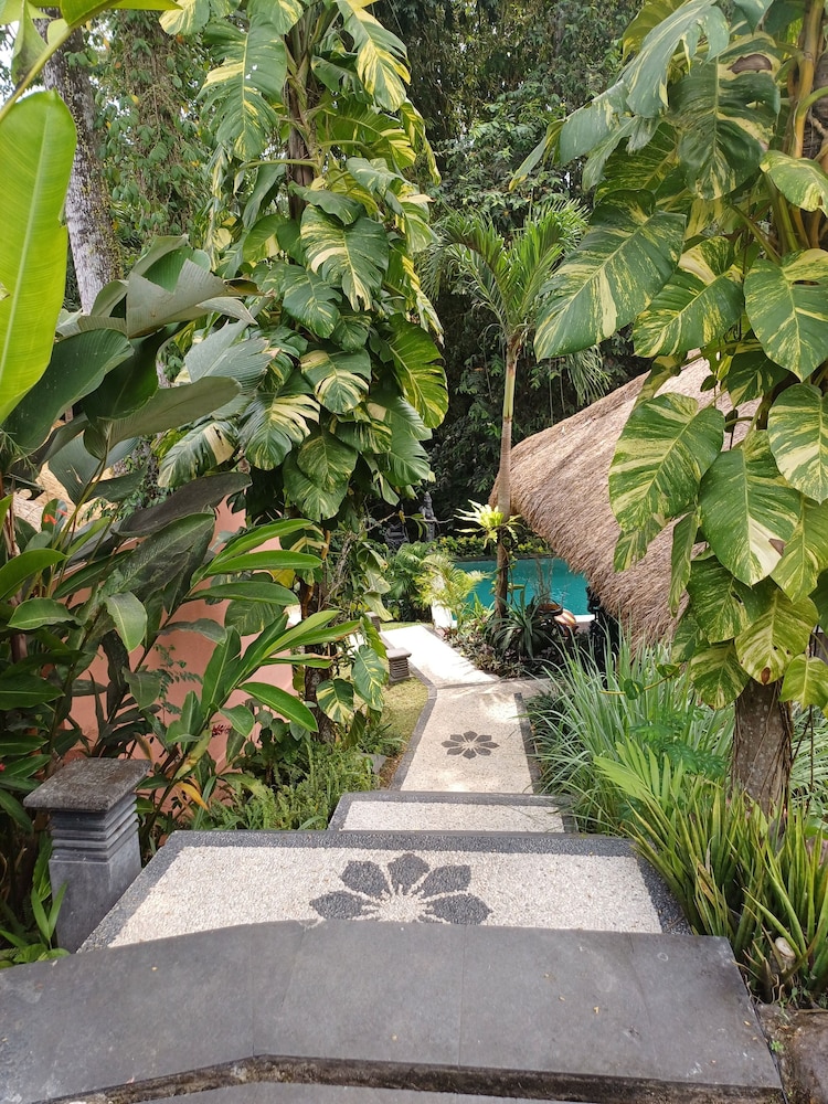 Photo 27