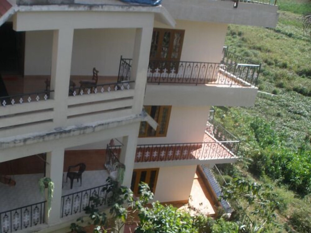 Jungle Palace Homestay