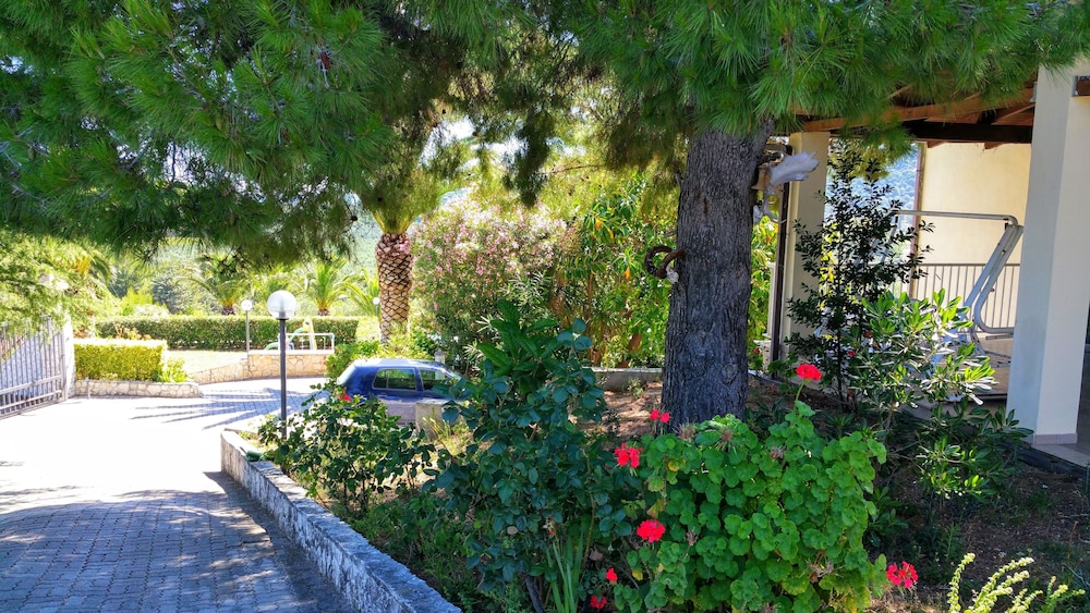 Photo 10