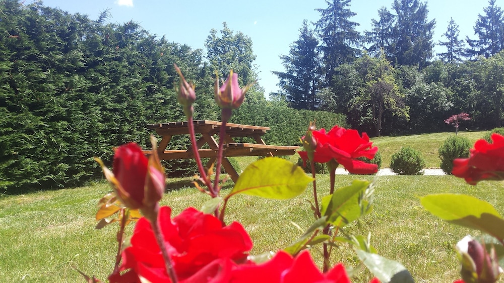 Photo 45