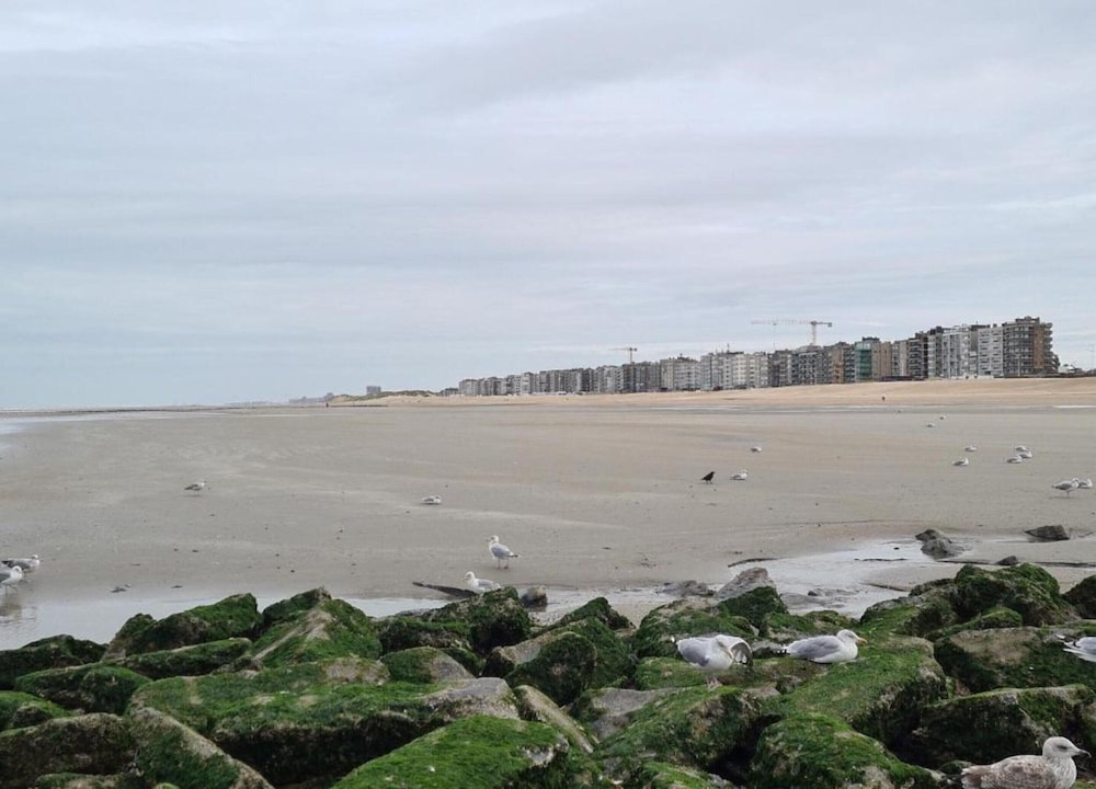 Apartment on Zeedijk With Stunning Sea Views