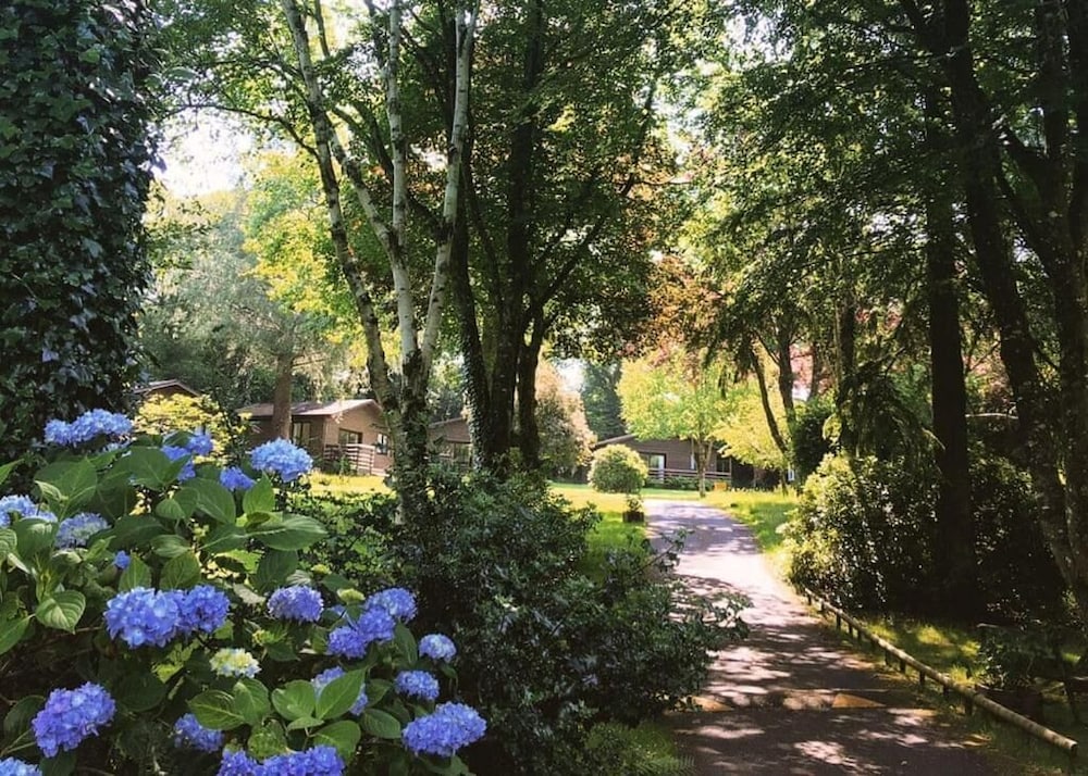Bodmin Vacations - Ruthern Valley Holidays - Property Image 14