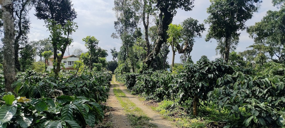 Heights Farm Stay - Coffee Estate Stay