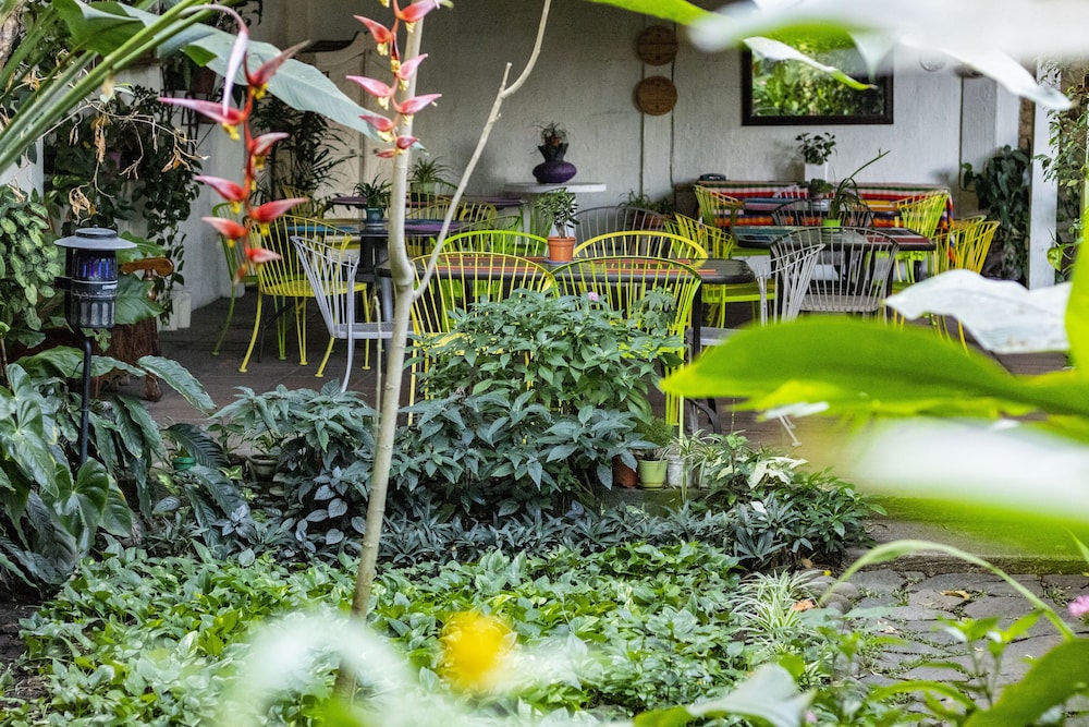 Árbol de Fuego Eco-hotel, a green experience in the city