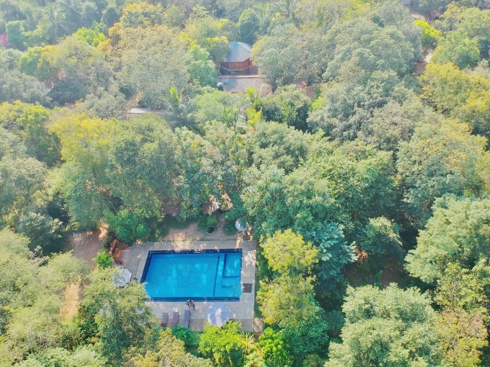Woodland Sanctuary