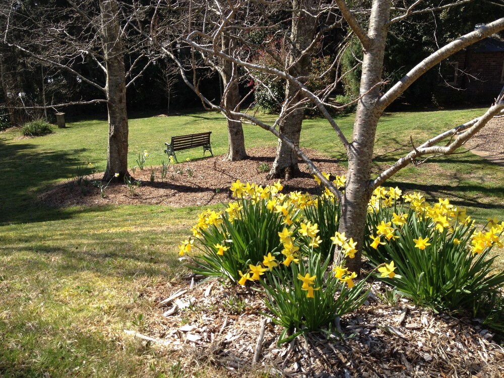 Bethany Manor Bed & Breakfast