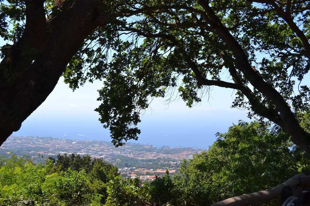 Holiday Time Sorrento