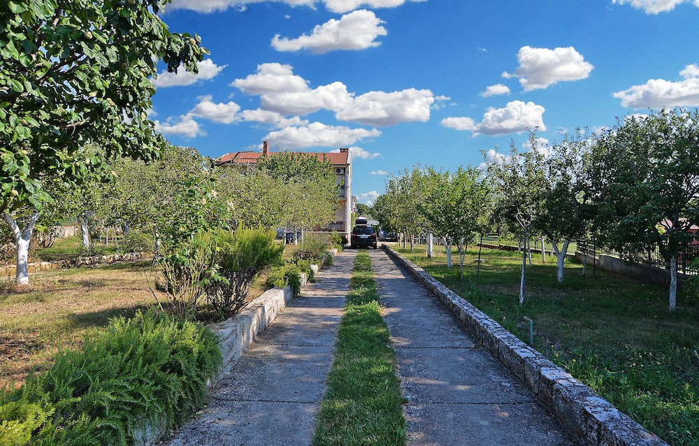 Photo 21