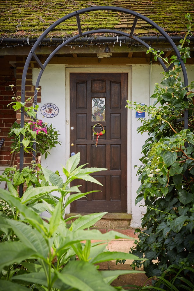 Strawberry Cottage B&B