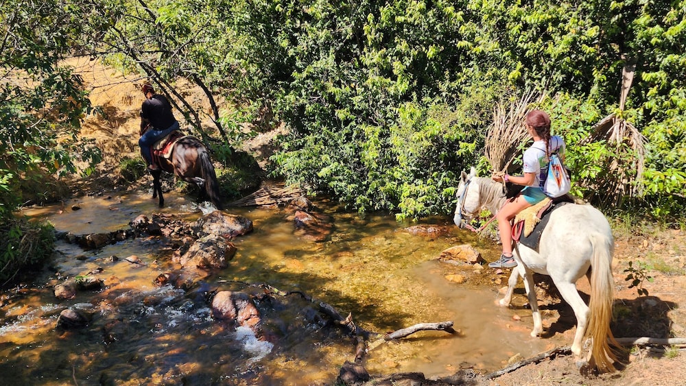 Fazenda Serra Negra - Terra Ronca
