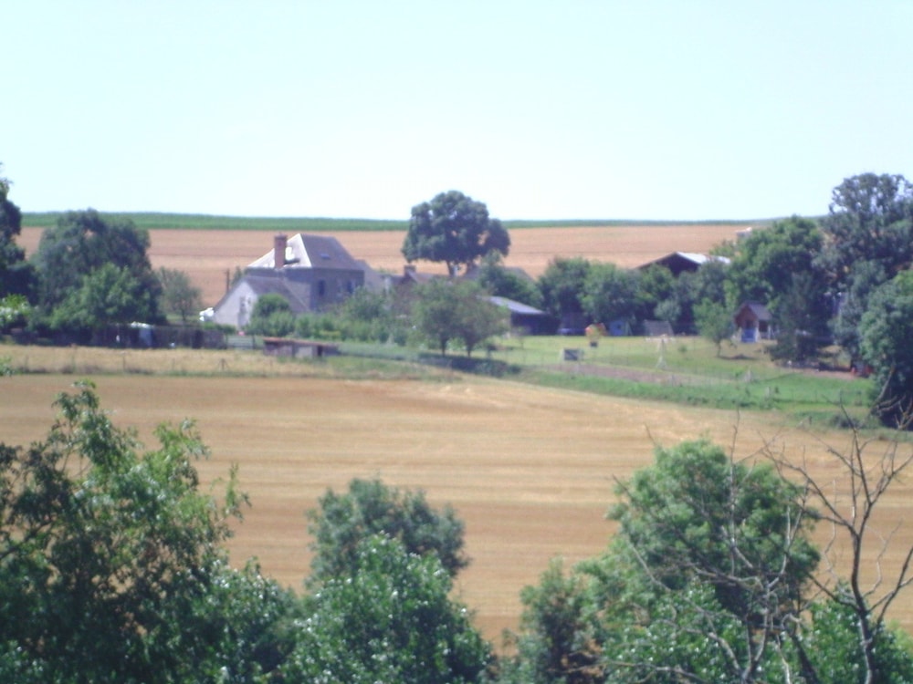 Photo 33