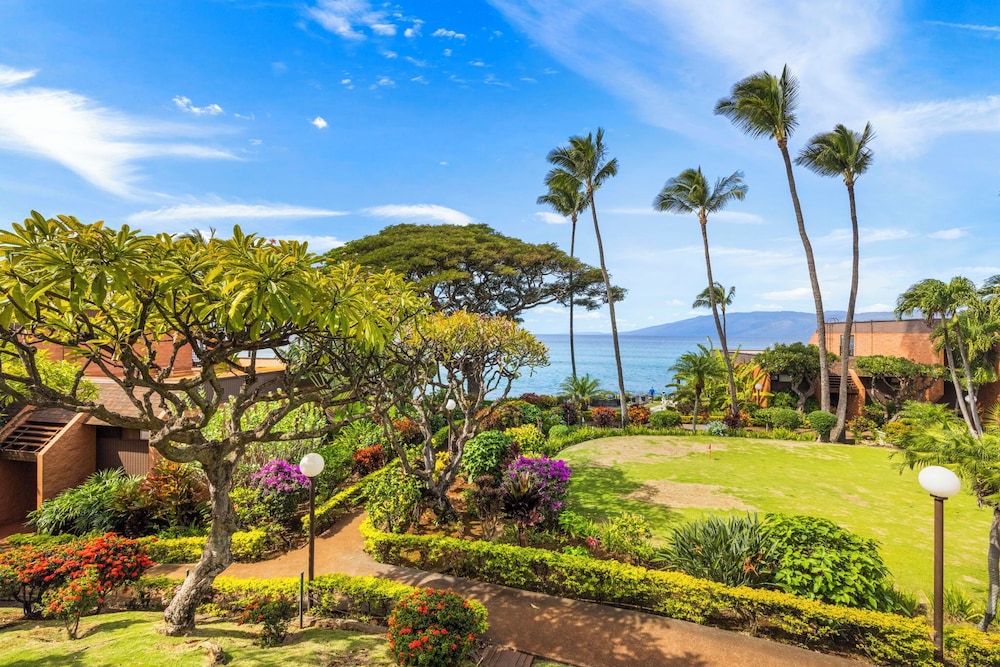 Kuleana Club - 509