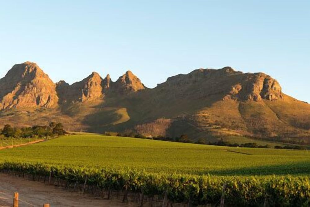 Dieu Donne Boutique Guest House Stellenbosch