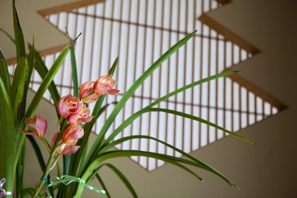 Hinodeya Ryokan