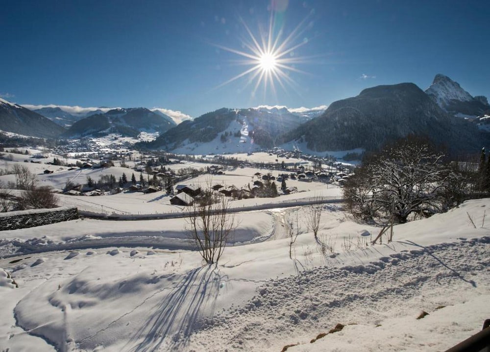 Contemporary Swiss Escape