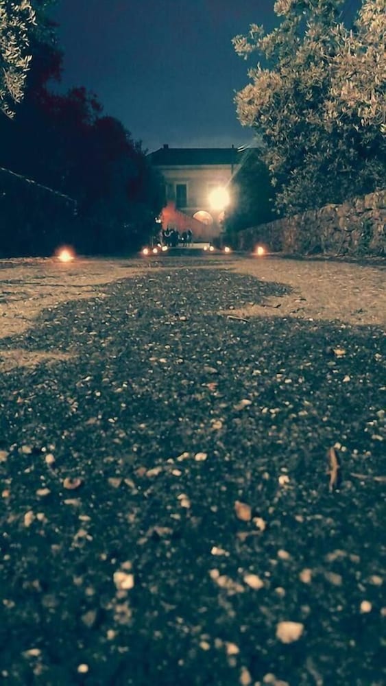 Photo 41