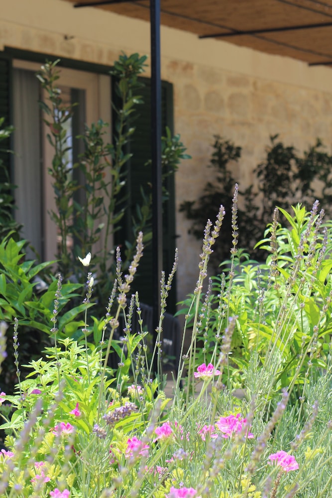 POGGIO LEANO photo 4