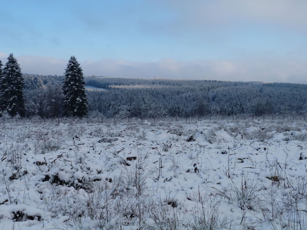 Photo 46