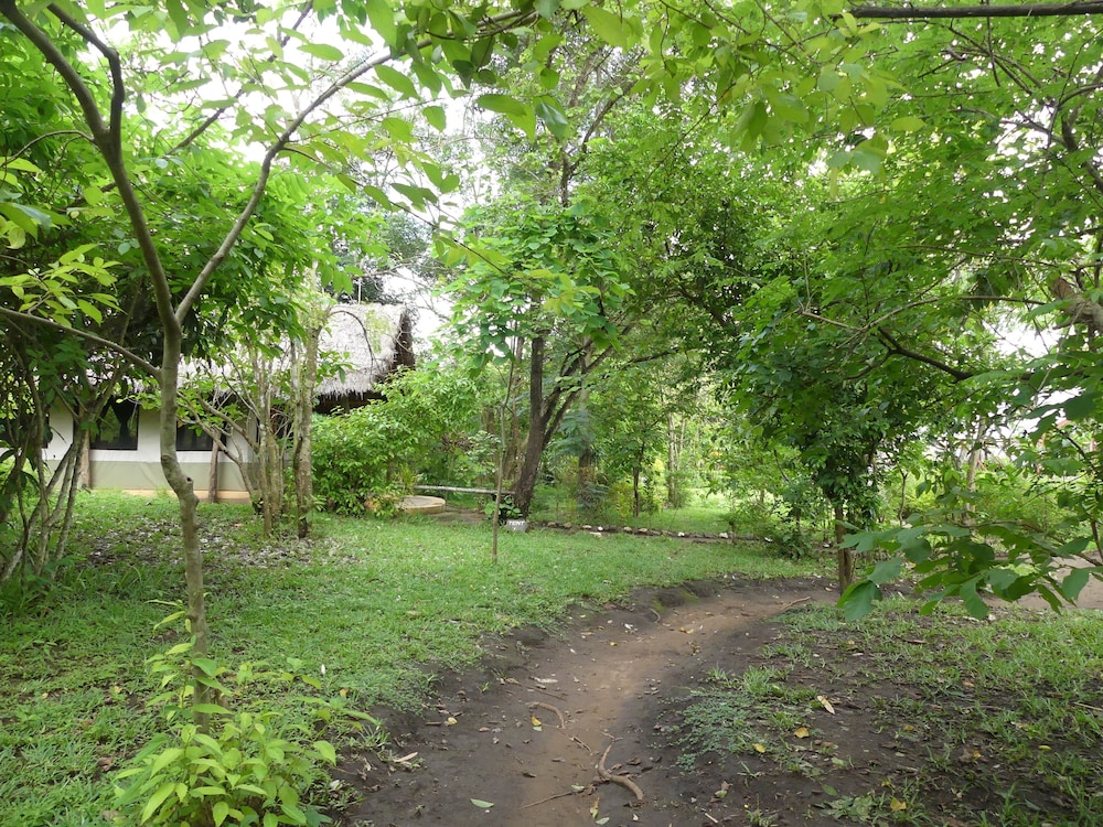 Udzungwa Forest Camp