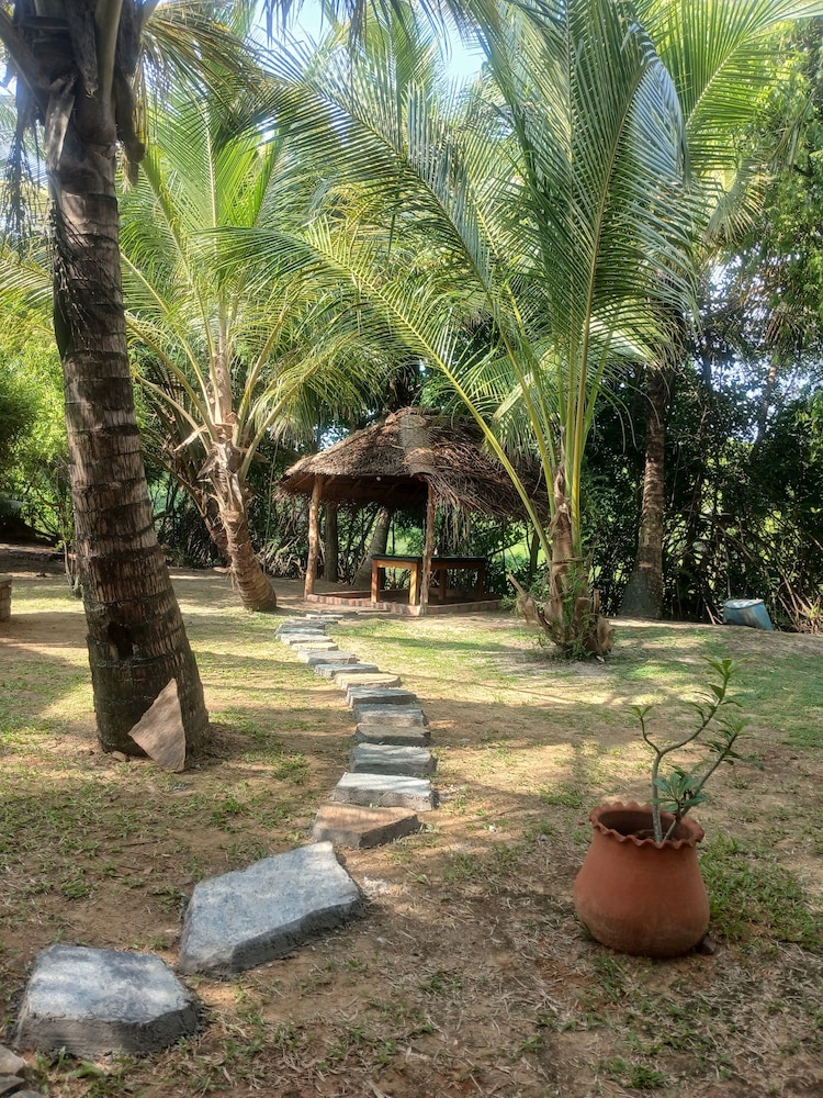 Ginger Harmony Guesthause and Café