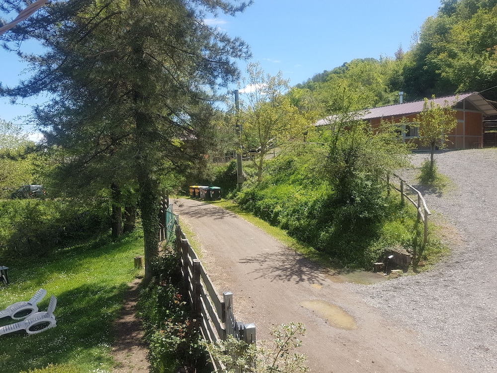 Photo 26