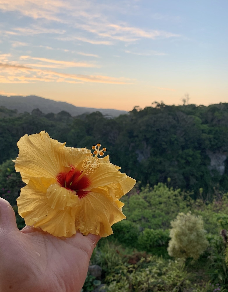Hibis Resort